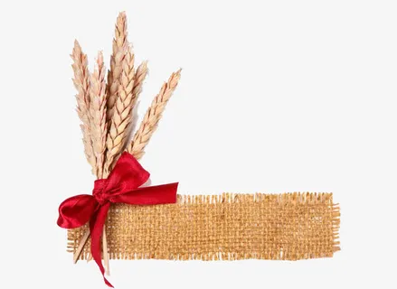 扎着蝴蝶结的麦穗免抠