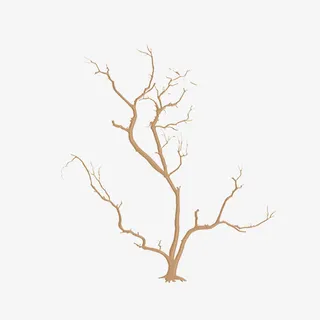 现代简约黄色树枝免抠