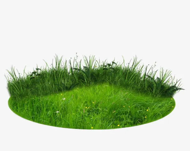 草坪 草地 植物  春天 绿色免抠