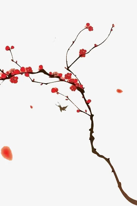 梅花红色梅花古风梅花免抠
