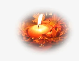 红色教师节火光效果花朵免抠