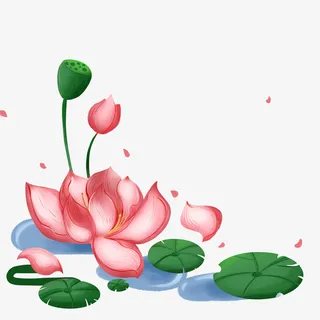 手绘夏日荷花免抠