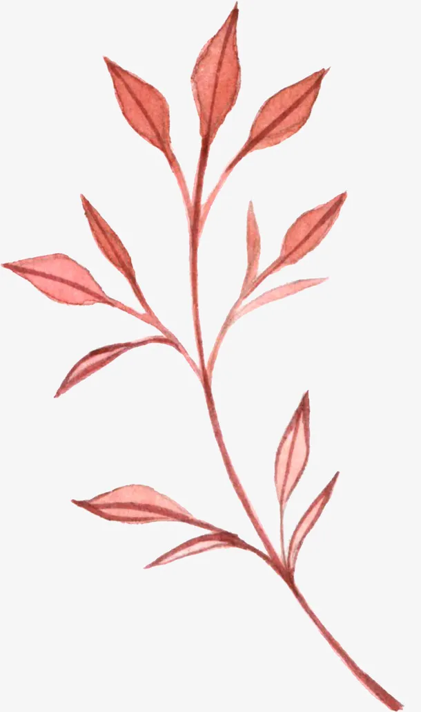 手绘红色植物免抠