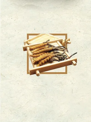 简约清新大气冬虫夏草药材美食新品促销高清