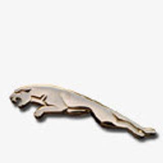 Jaguar 美洲虎图标免抠