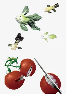 大白菜西红柿免抠