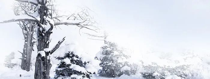 冬季积雪背景高清