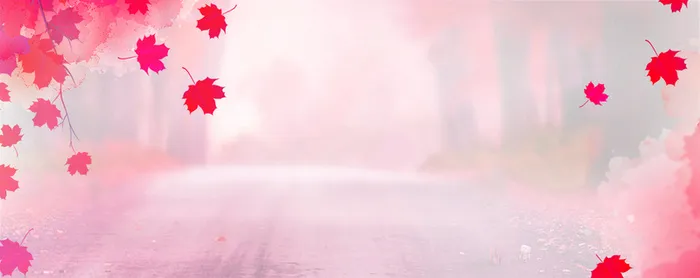 浪漫，秋天，红花，背景，简约高清