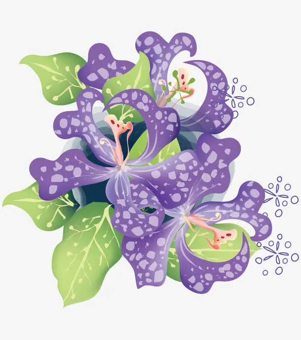 春暖花开紫色的花免抠