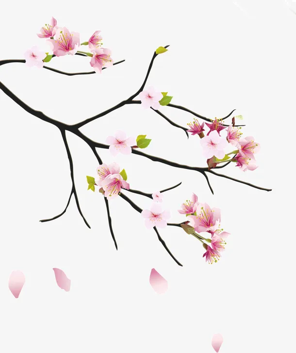 古风梅花素材免抠