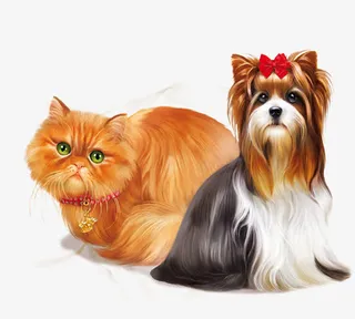 长毛狗狗和猫咪免抠