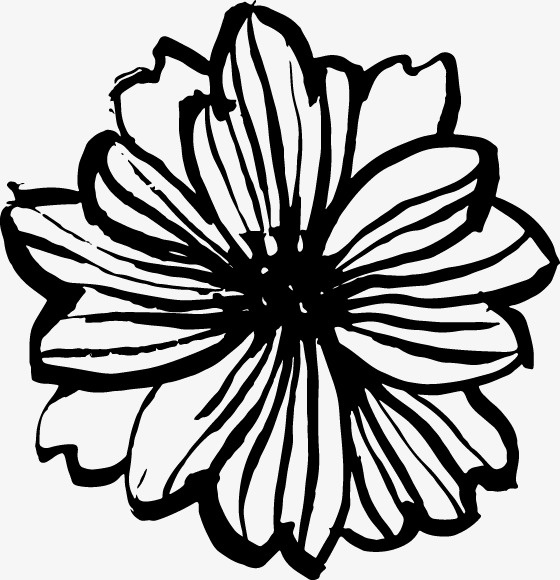 手绘花朵免抠