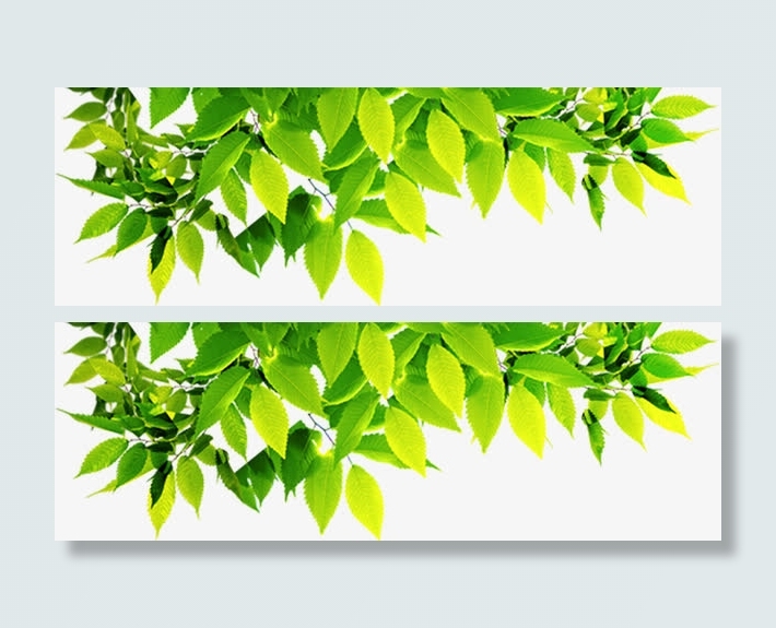 手绘绿色清新树叶装饰春天免抠