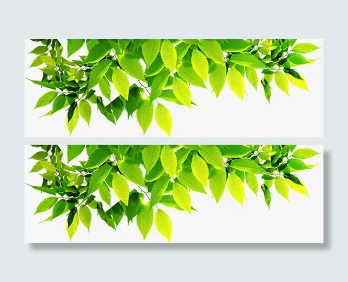 手绘绿色清新树叶装饰春天免抠