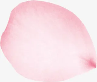 粉色甜美花瓣植物免抠