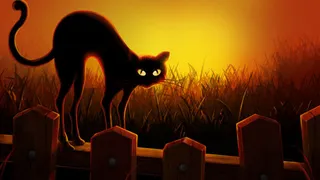 万圣节黑猫免抠