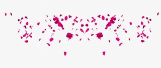 精美的玫瑰花花瓣免抠图免抠