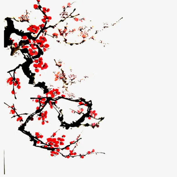 梅花  手绘  中国风 水墨免抠