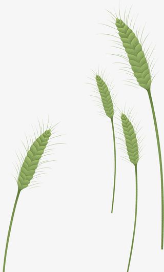 手绘春天绿色植物免抠