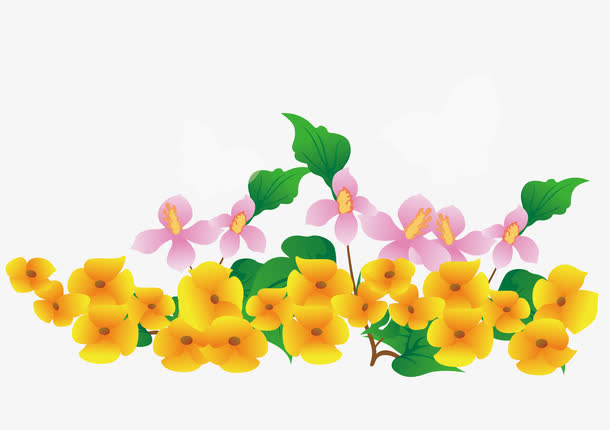 春天盛开的鲜艳的小黄花免抠