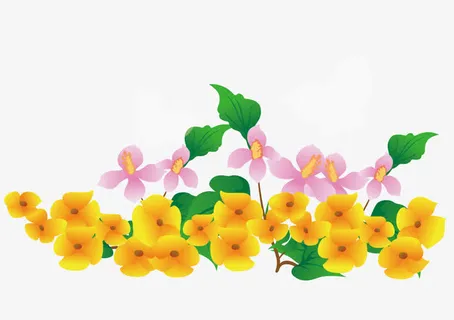 春天盛开的鲜艳的小黄花免抠