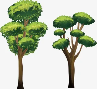 春天迎客松免抠