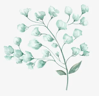 手绘文艺小清新绿叶免抠