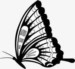 黑色春天风景蝴蝶免抠