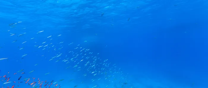 海底背景高清