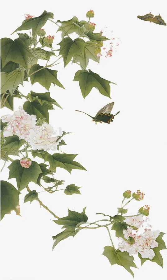 中国风手绘木芙蓉花免抠
