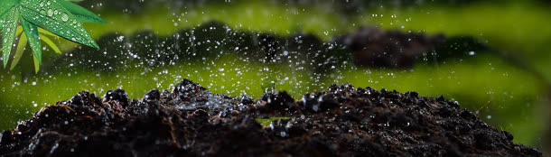 雨鞋背景banner
