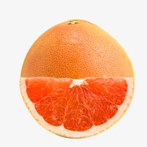 精品葡萄柚免抠