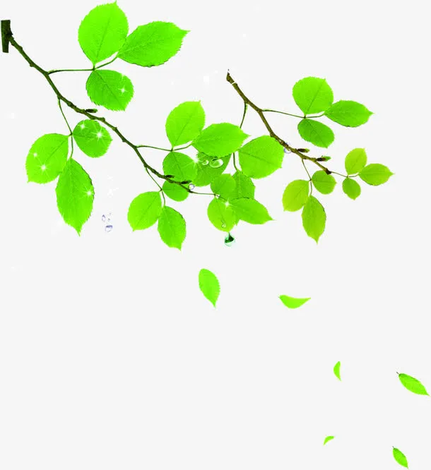 绿色卡通清新树枝节日装饰免抠