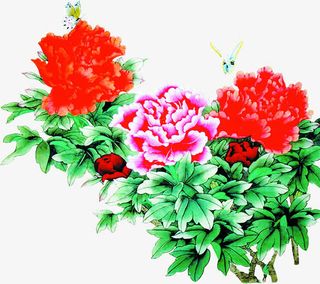 富贵花元旦贺信背景