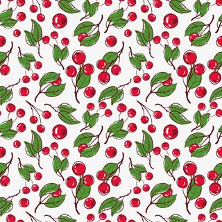 樱桃背景素材