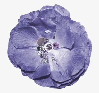 花朵图片素材鲜花花卉免抠 花朵图片素材鲜花花卉免抠