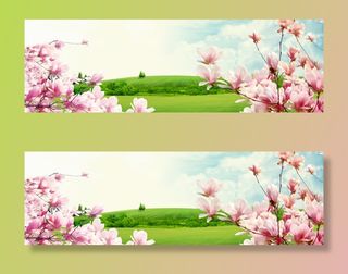 唯美盛开玉兰花海报背景免抠