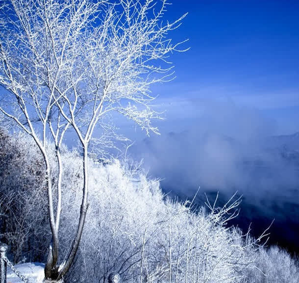 冬季雪景个人主页免抠