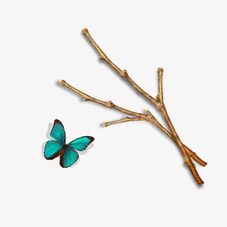 枯树枝与蓝色蝴蝶免抠