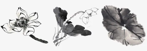 中国风水墨荷花免抠