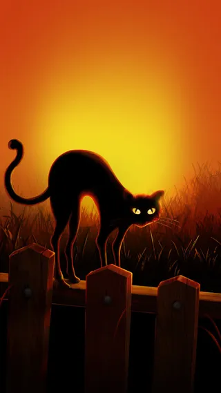 万圣节黑猫免抠