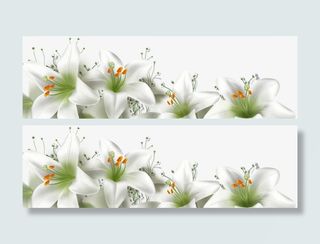 百合主题幸福一家素材免抠