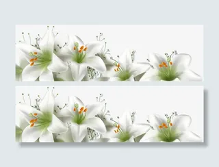 百合主题幸福一家素材免抠