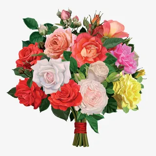 卡通插画玫瑰花束免抠