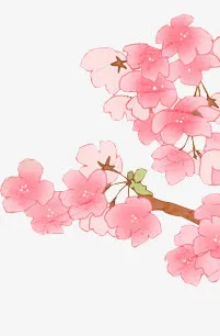 边角水墨梅花png素材免抠
