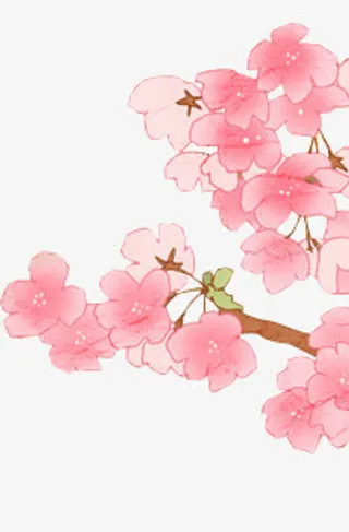 边角水墨梅花png素材免抠