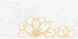 两朵鲜花手绘免抠