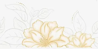 两朵鲜花手绘免抠