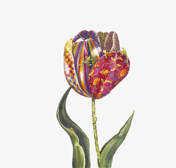 个性碎花花瓣郁金香免抠