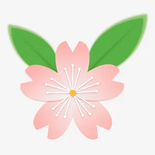 樱花、花、春天、花瓣免抠